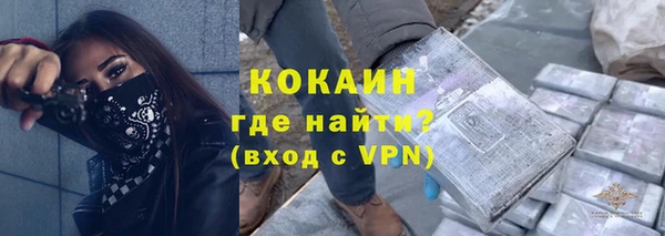 бошки Инта