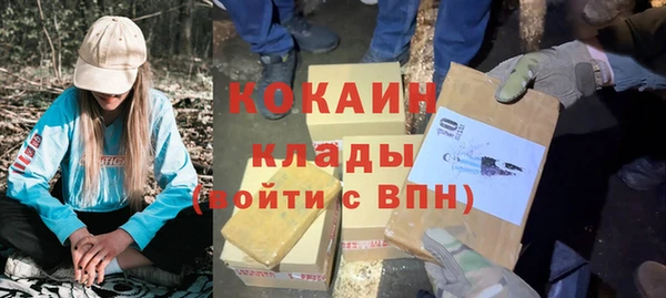 бошки Инта