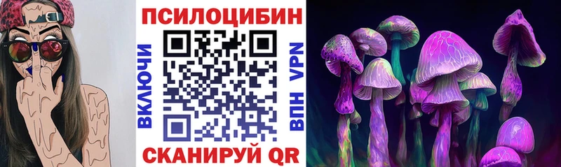 Галлюциногенные грибы Magic Shrooms  Купить  Зеленогорск 