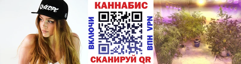 Купить  Зеленогорск  Марихуана ГИДРОПОН 